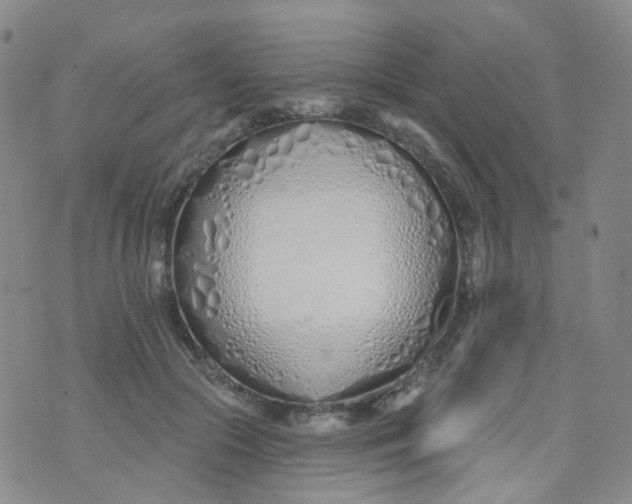 X0000073930553200609011837