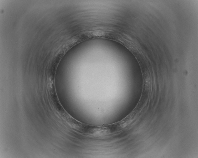 X0000073930555200609011837