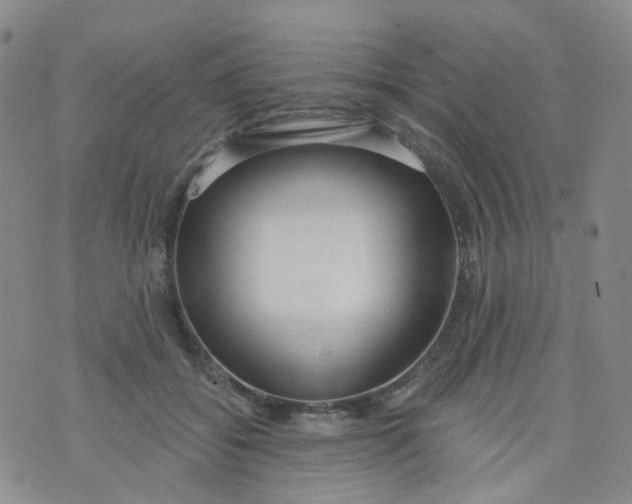 X0000073930556200609011837