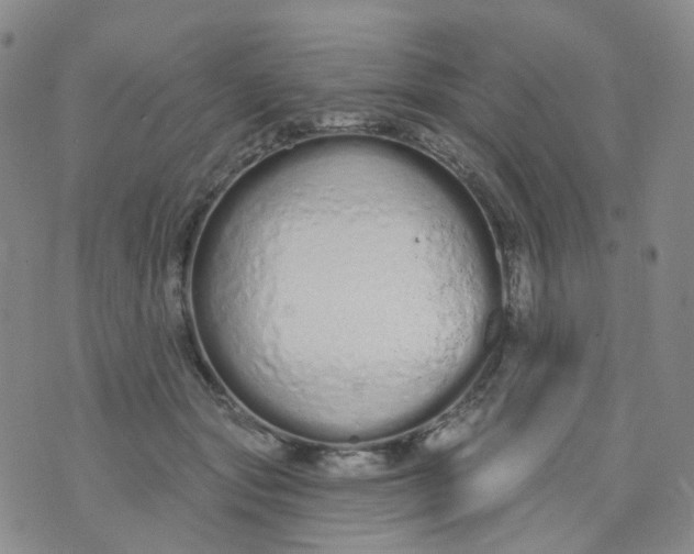 X0000073930557200609011837