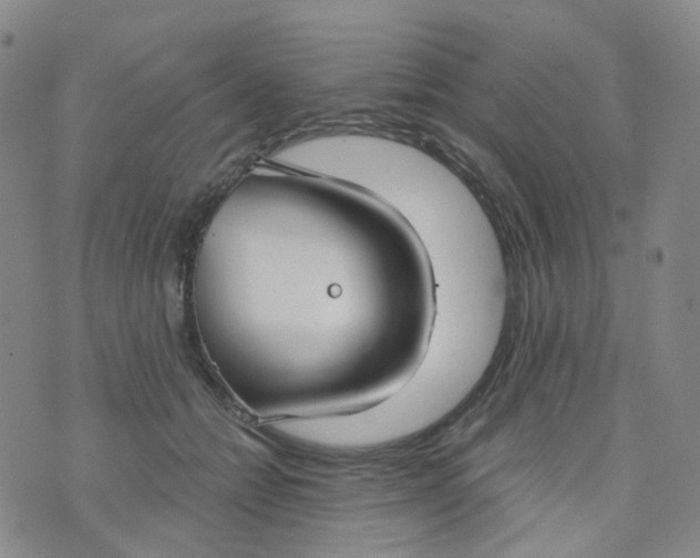 X0000073930558200609011837