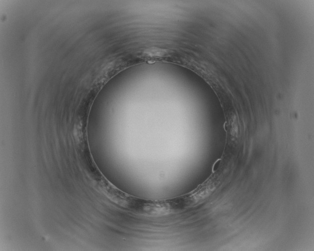 X0000073930559200609011837