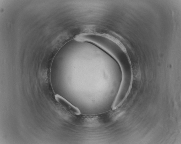 X0000073930560200609011837