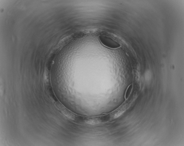 X0000073930561200609011837