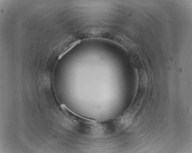 X0000073930562200609011837