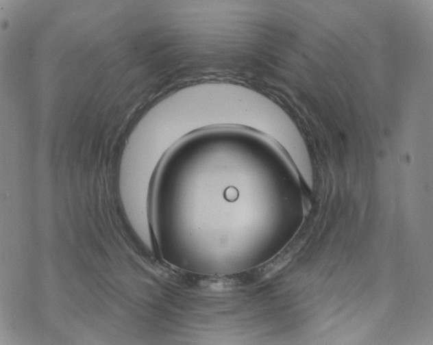 X0000073930564200609011837