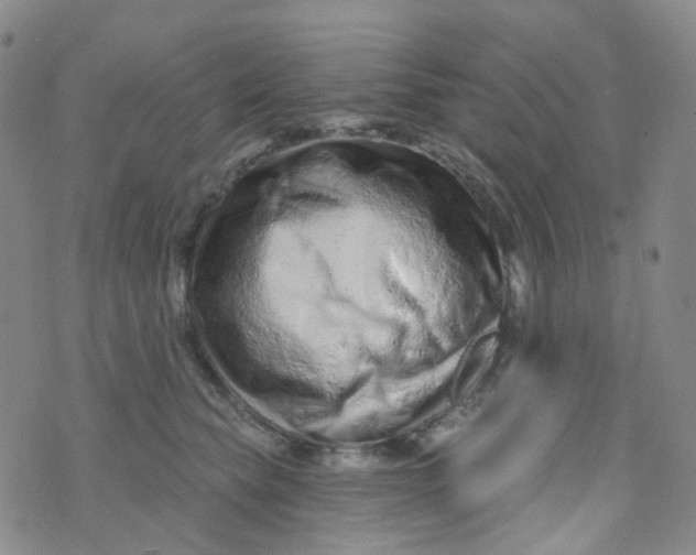 X0000073930565200609011837