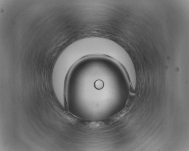 X0000073930566200609011837