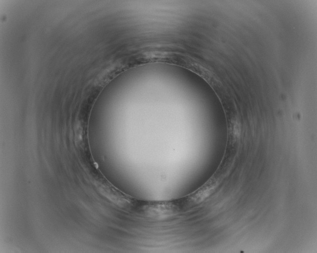 X0000073930567200609011837