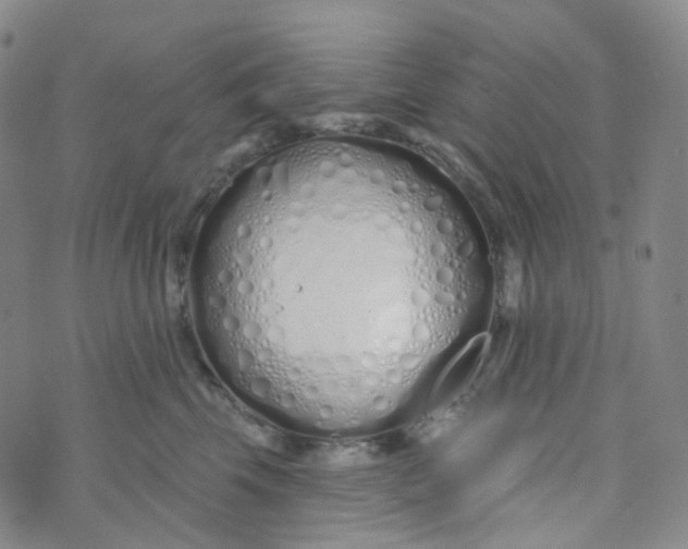 X0000073930569200609011837