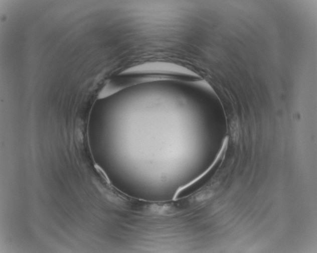 X0000073930570200609011837