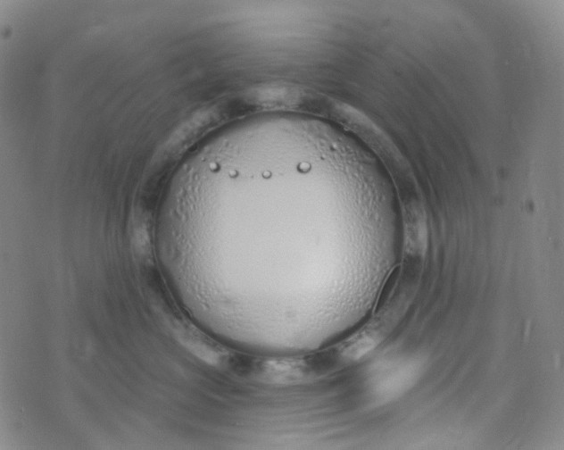 X0000073930573200609011837