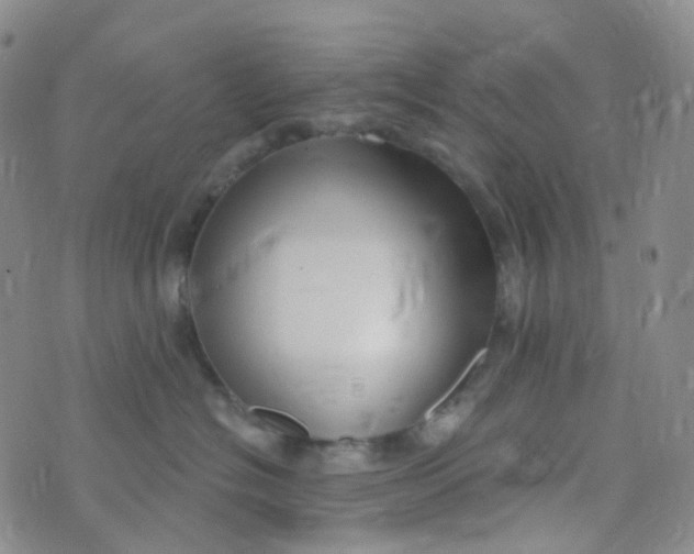 X0000073930574200609011837