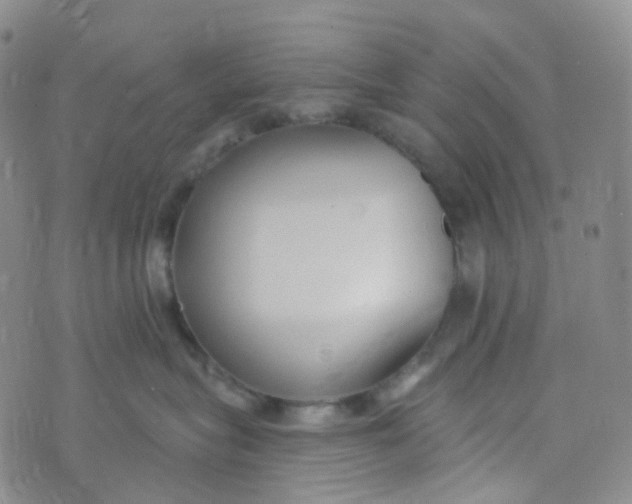 X0000073930575200609011837