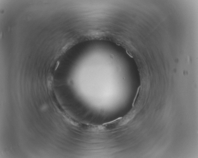 X0000073930576200609011837