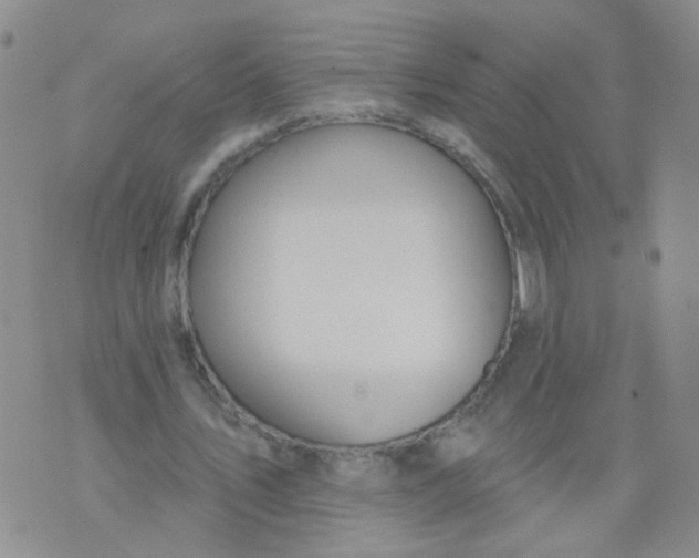 X0000073930579200609011836