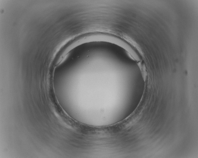 X0000073930580200609011836