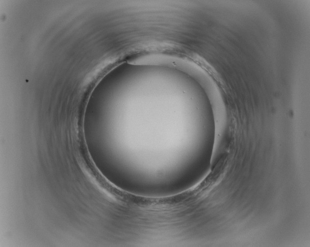 X0000073930581200609011836