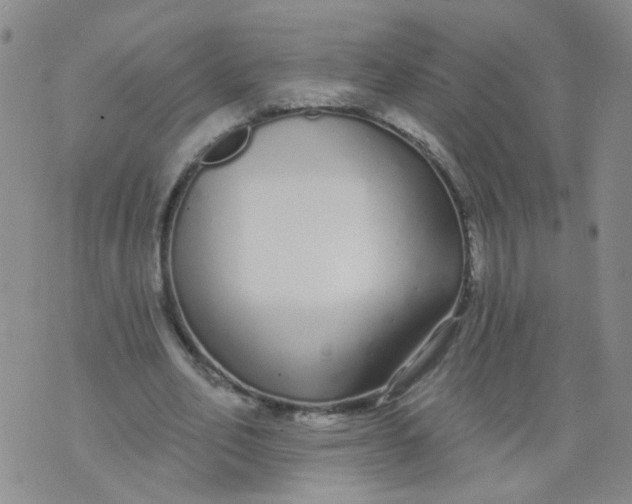 X0000073930582200609011836