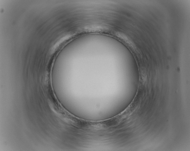 X0000073930583200609011836