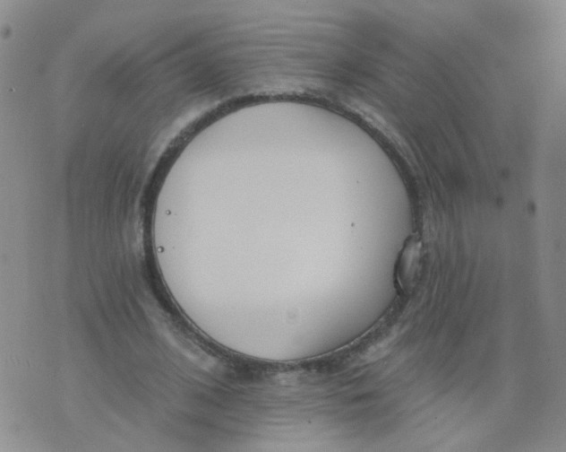 X0000073930584200609011836