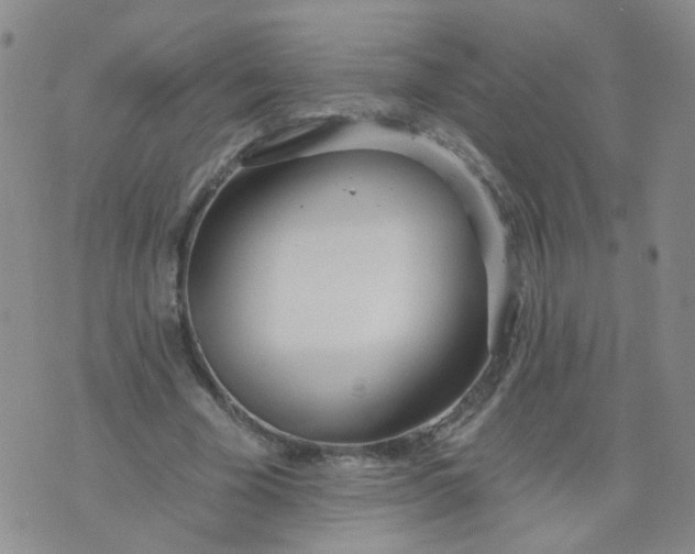 X0000073930585200609011836