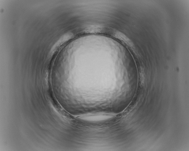 X0000073930586200609011836