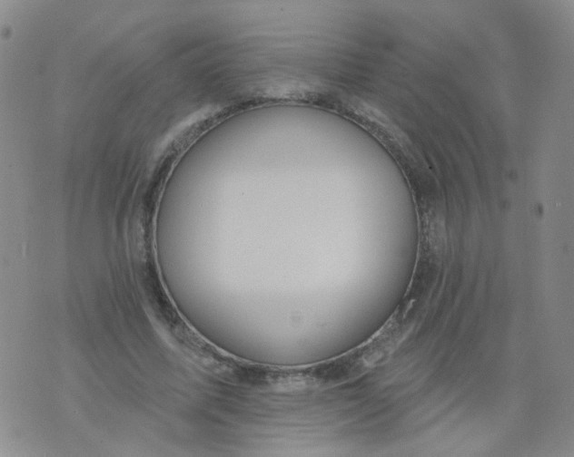 X0000073930587200609011836