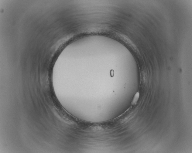 X0000073930588200609011836