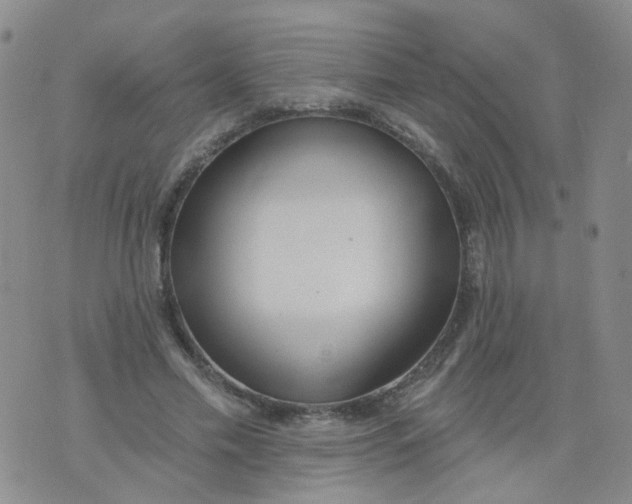 X0000073930589200609011836