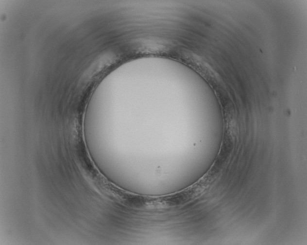 X0000073930591200609011836