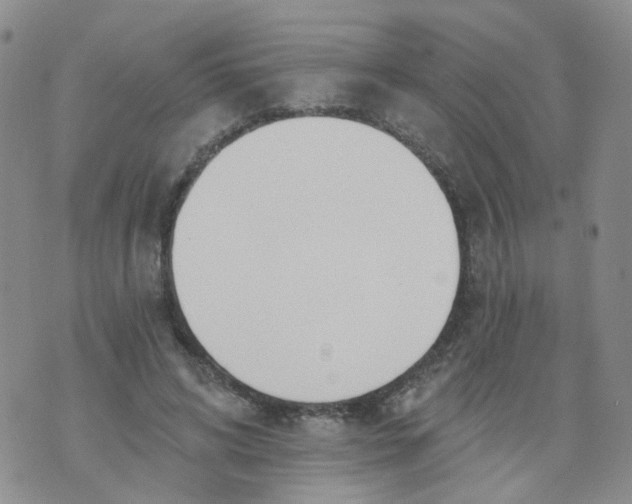 X0000073930592200609011836