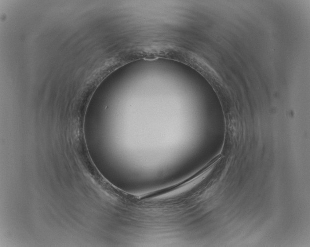 X0000073930593200609011836