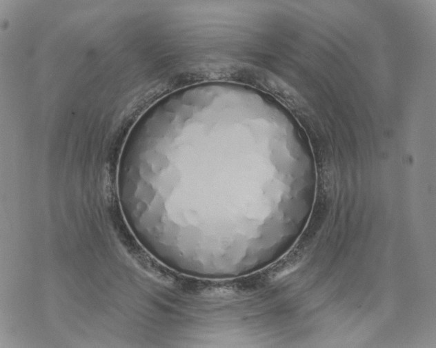 X0000073930594200609011836