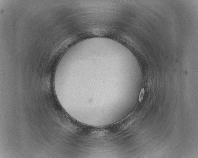 X0000073930595200609011836