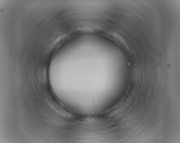 X0000073930596200609011836