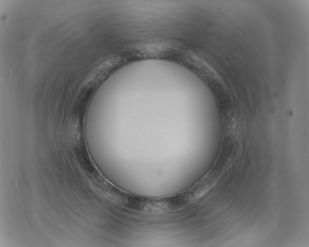 X0000073930599200609011836