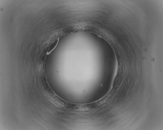 X0000073930601200609011836