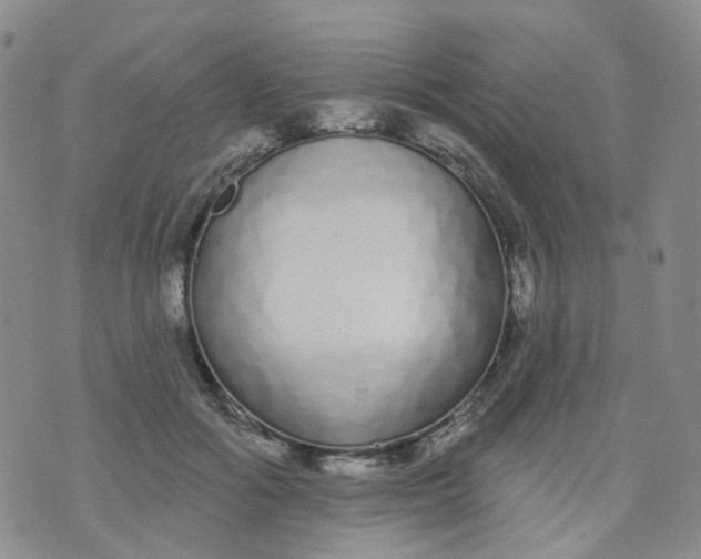 X0000073930602200609011836