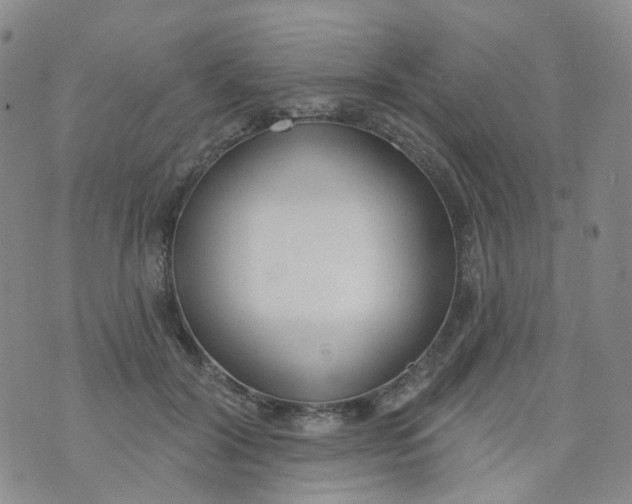 X0000073930604200609011836