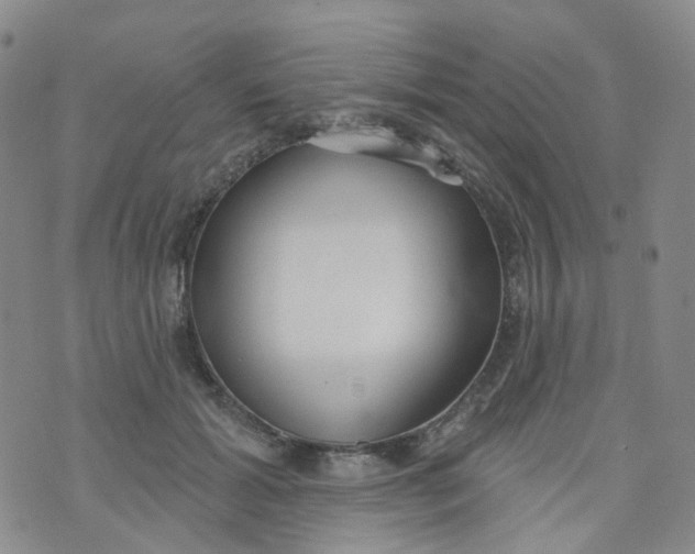 X0000073930605200609011836