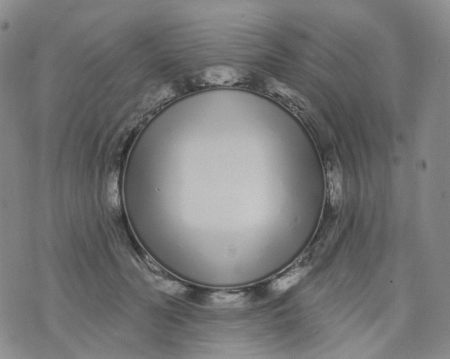 X0000073930606200609011836