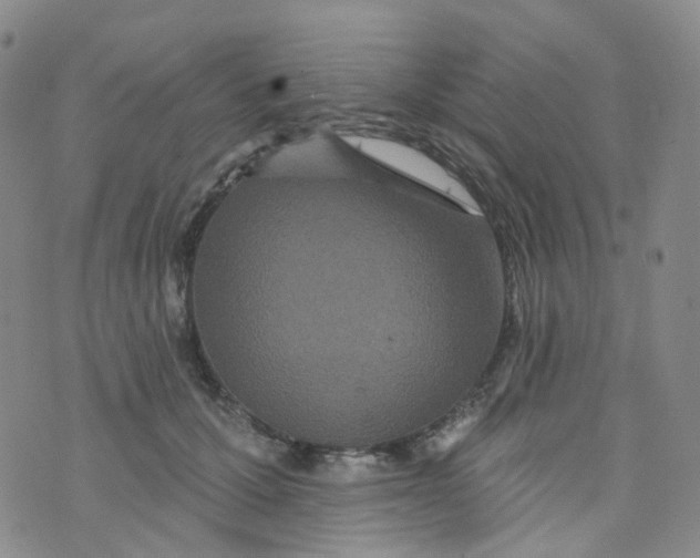 X0000073930607200609011836