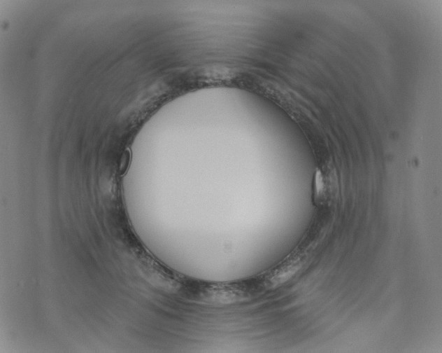 X0000073930608200609011836