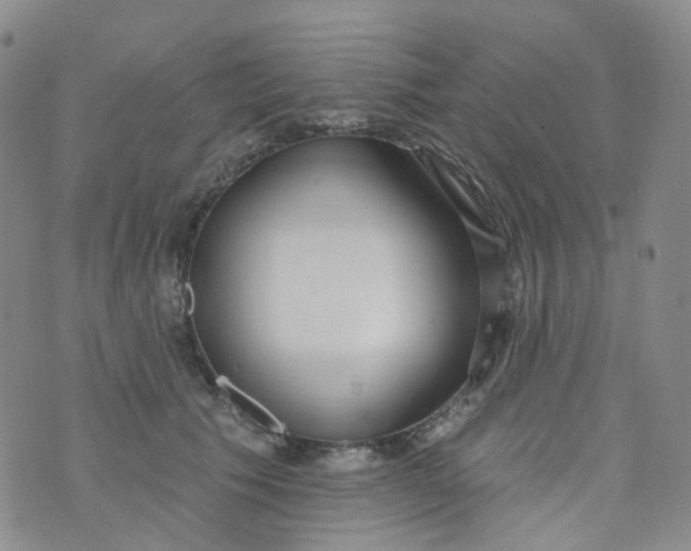 X0000073930609200609011836