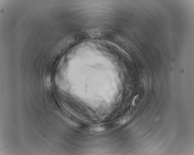 X0000073930610200609011836