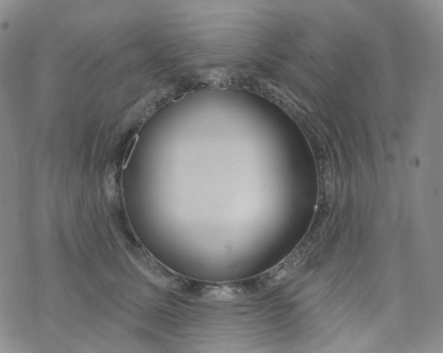 X0000073930611200609011836