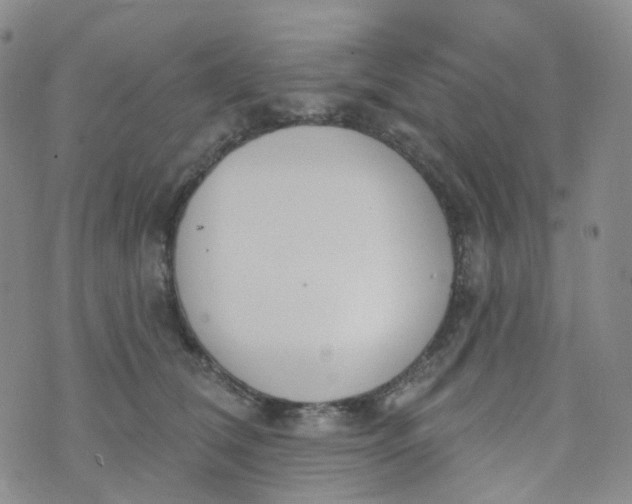 X0000073930612200609011836