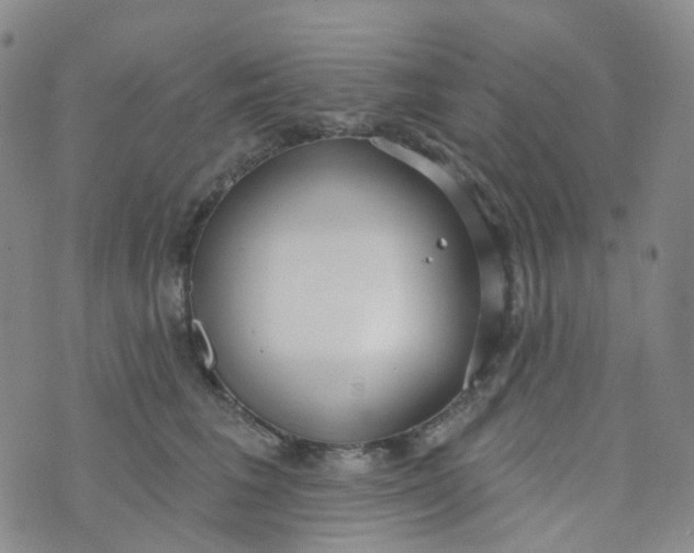 X0000073930613200609011836