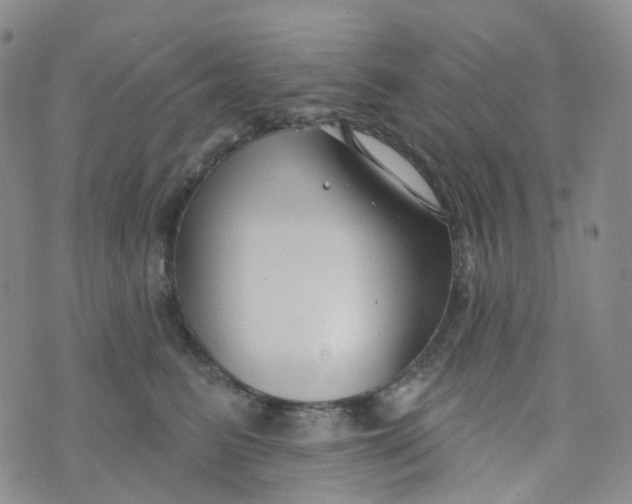 X0000073930615200609011836